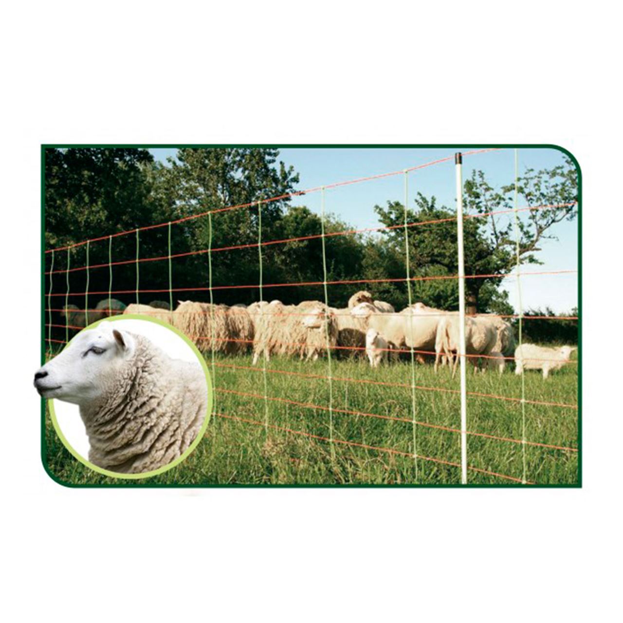 para ovejas reforzada ZAR - Suministros Urquiza