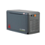 Imagen de Generador a gas Pramac GA13000 LTS