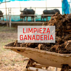 Imagen para la categoría LIMPIEZA GANADERÍA