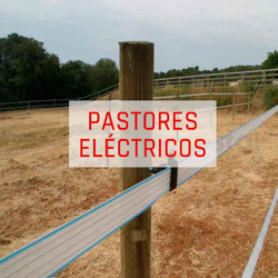 Imagen para la categoría PASTORES ELECTRICOS