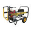 Imagen de Generador dual Gas-Gasolina 5300 W Ayerbe 8000 H MN E GAS