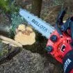 Imagen de Motosierra de poda gasolina 25cc Bellota